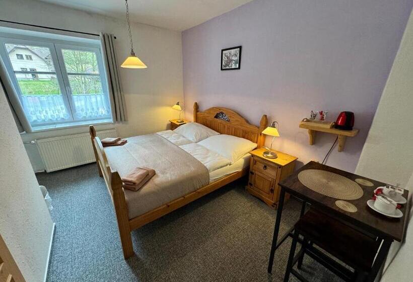 غرفة سوبيريور, Penzion Janoštík