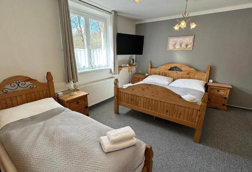 غرفة قياسية ثلاثية مطلة علي الحديقة, Penzion Janoštík