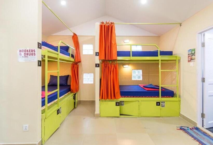 Standaard Studio, Monkey Republic Kampot