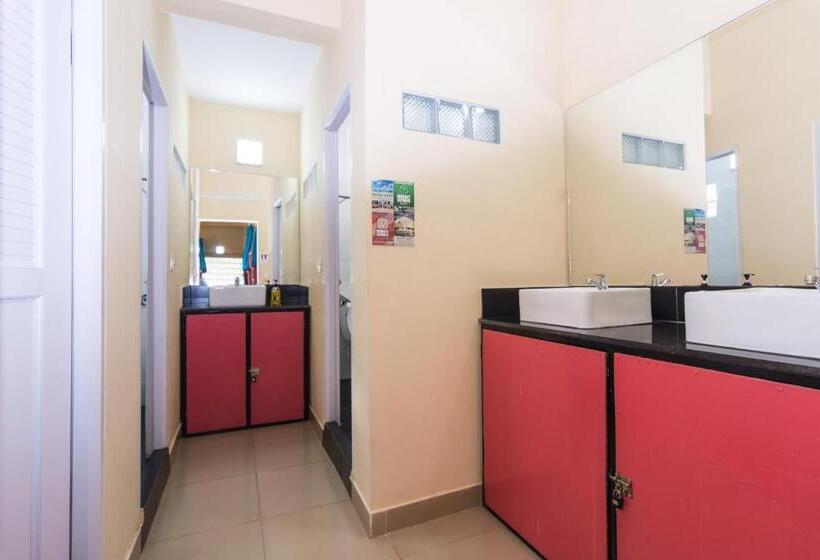 Bed in een Gedeelde Kamer, Monkey Republic Kampot