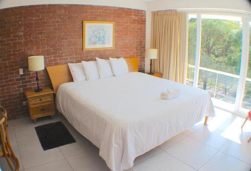 آپارتمان 1 خوابه, Apartamentos Reforma