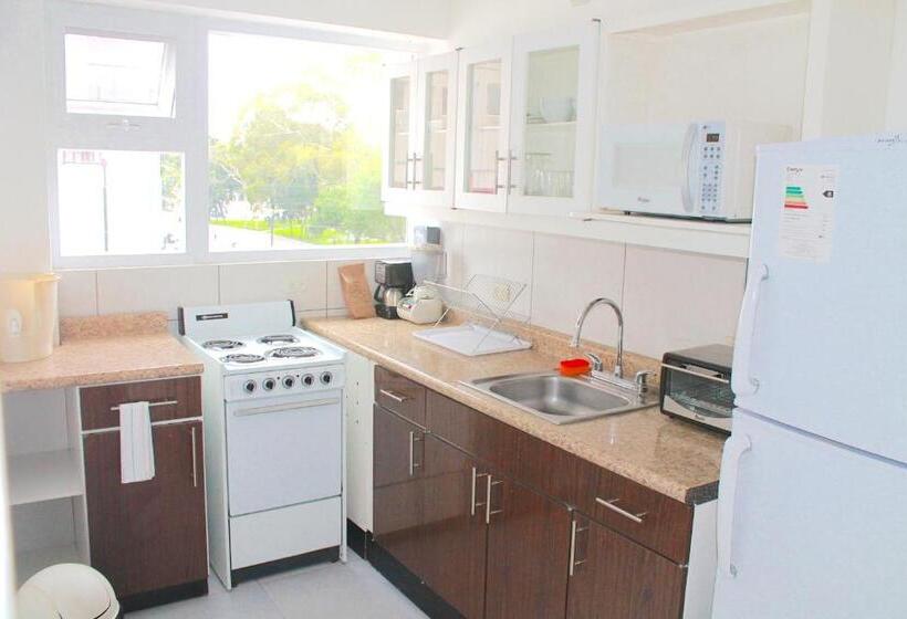 آپارتمان 1 خوابه, Apartamentos Reforma