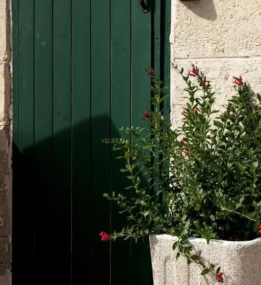 سوئیت جونیور با تراس, Agroturismo Son Boronat