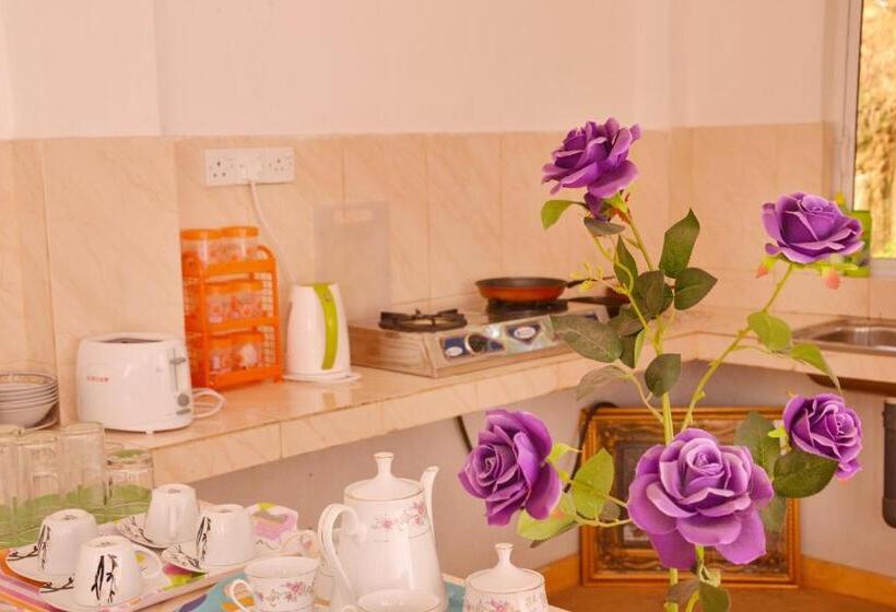 Quarto Triplo Estandar, Sera Villa