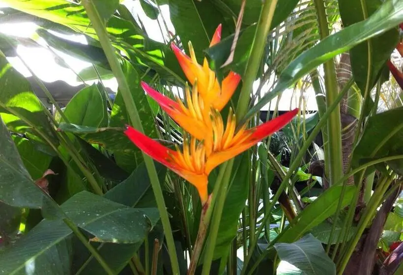 اتاق دوبلکس, L Oasis De Terre Rouge