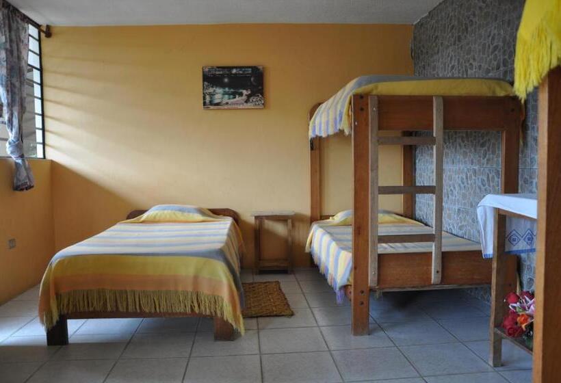 ファミリールーム, A Welcome Break Hostal