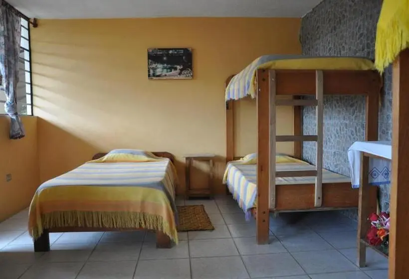 اتاق خانوادگی, A Welcome Break Hostal