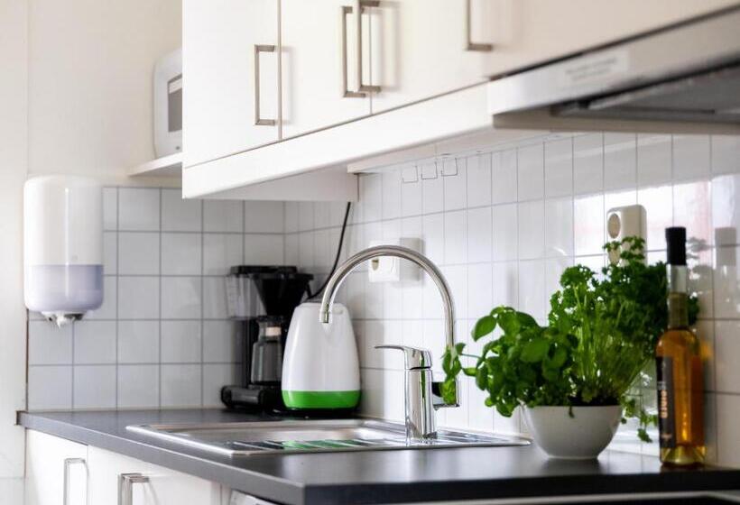 סטודיו סטנדרט עם מרפסת, Trolltunga Apart