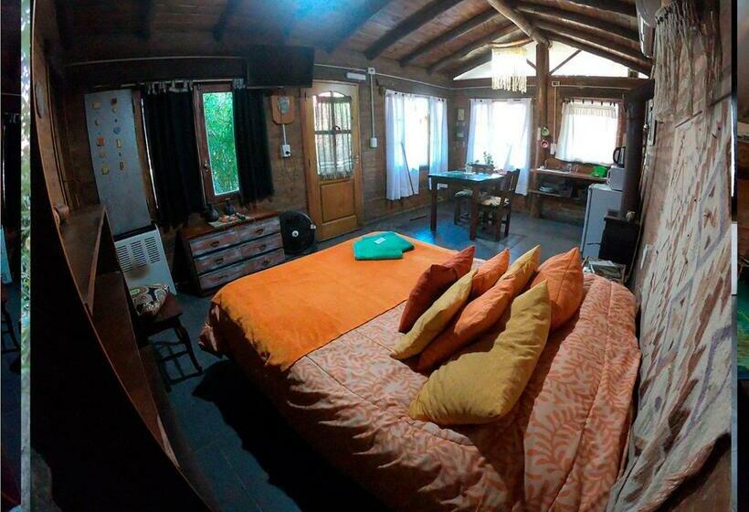 Студия Стандарт, Altitud 410