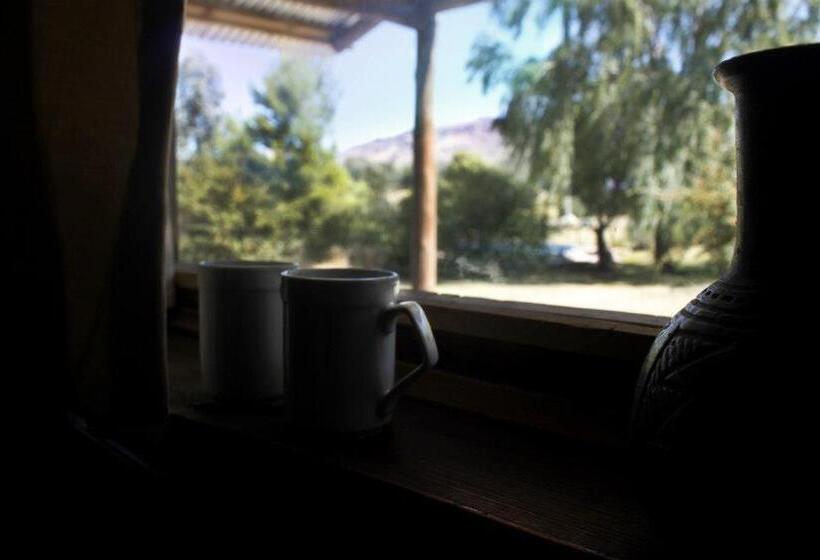 Студия Стандарт, Altitud 410