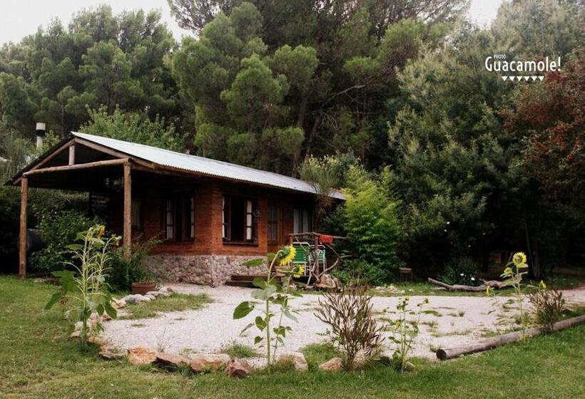 Студия Стандарт, Altitud 410