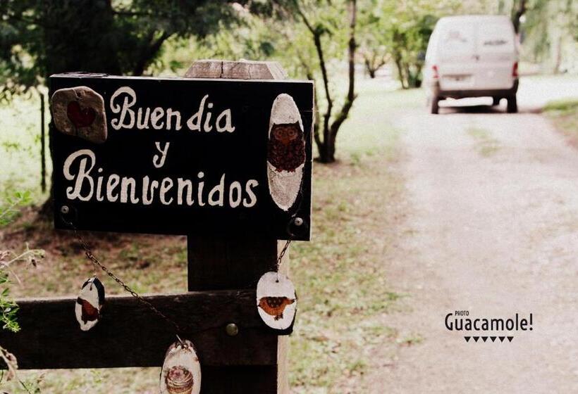 Студия Стандарт, Altitud 410