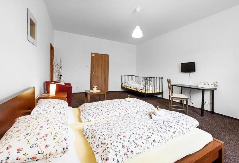 חדר סטנדרט, Penzion Sole Bučovice