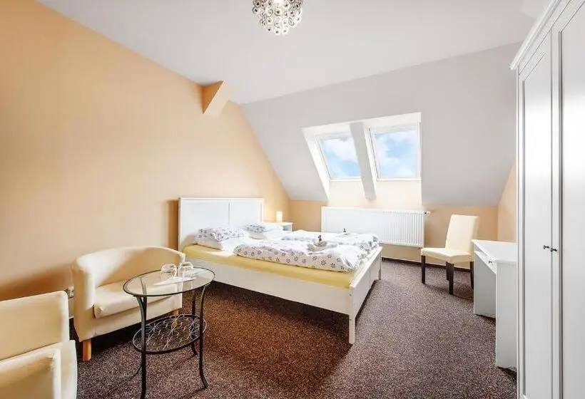 Standard-huone, Penzion Sole Bučovice
