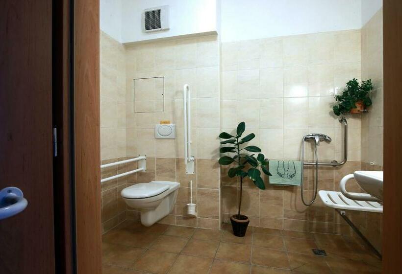 장애인을 위한 스탠다드 룸, Wellness Penzion Pod Rozhlednou