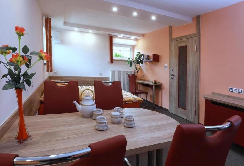 침실 1개 디럭스 아파트, Wellness Penzion Pod Rozhlednou