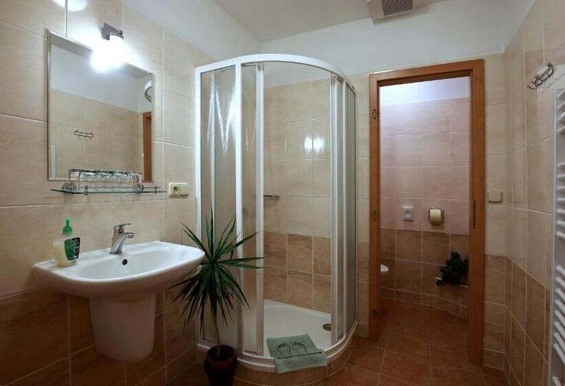 Люкс, Wellness Penzion Pod Rozhlednou