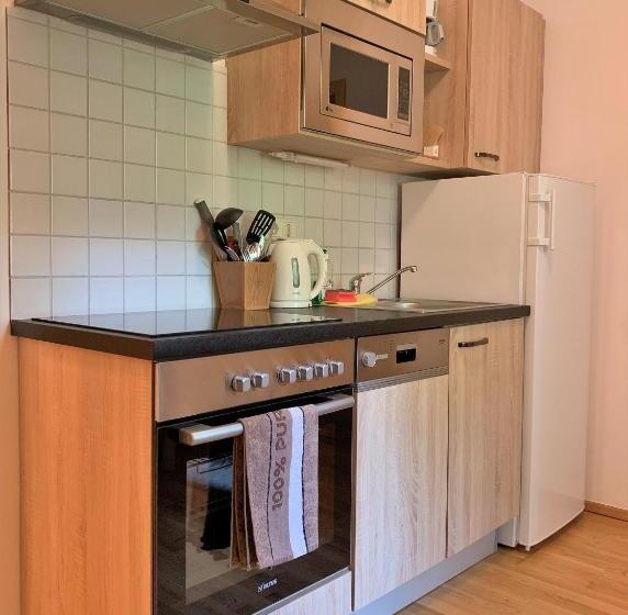 آپارتمان 1 خوابه همکف, Der Ulmenhof