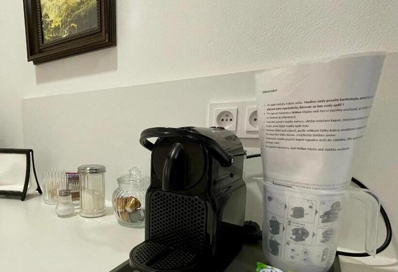 带露台的标准房间, Pension Phoenix