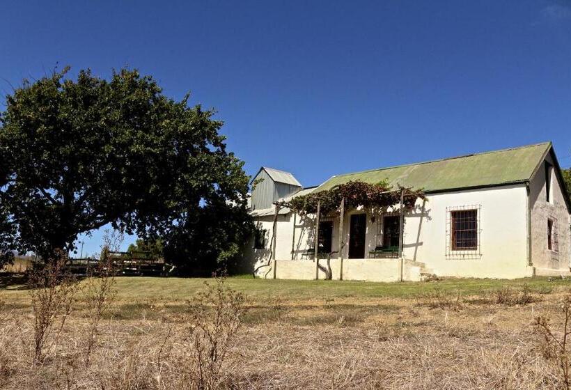 בקתה, Beaumont Family Wines