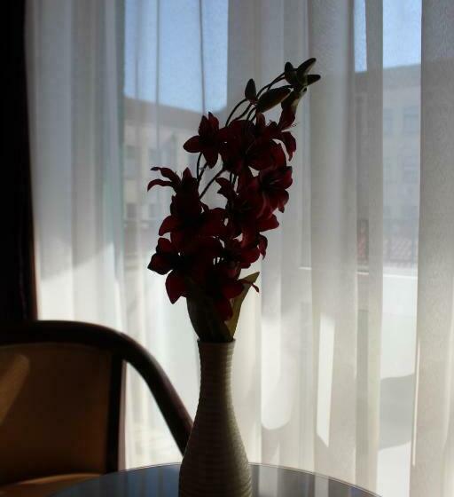 Номер Стандарт Индивидуальный, Pensiunea Junior