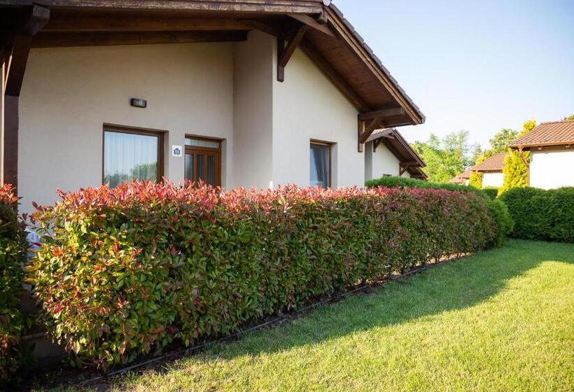 Вилла 2 Спальни, Pandora Zsóry Apartmanok Mezőkövesd