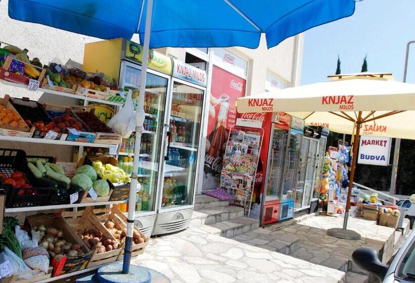 استودیوی استاندارد, Guest House Ugljevarevic