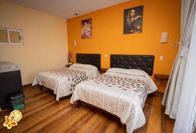 Номер Стандарт, Jatziri