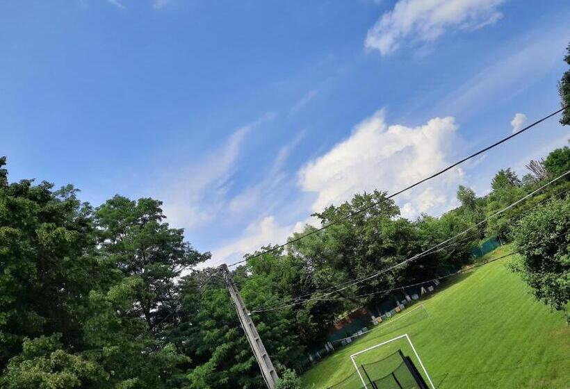 Стандартный Номер Кровать Кинг, Pensiunea Poiana Avrigului