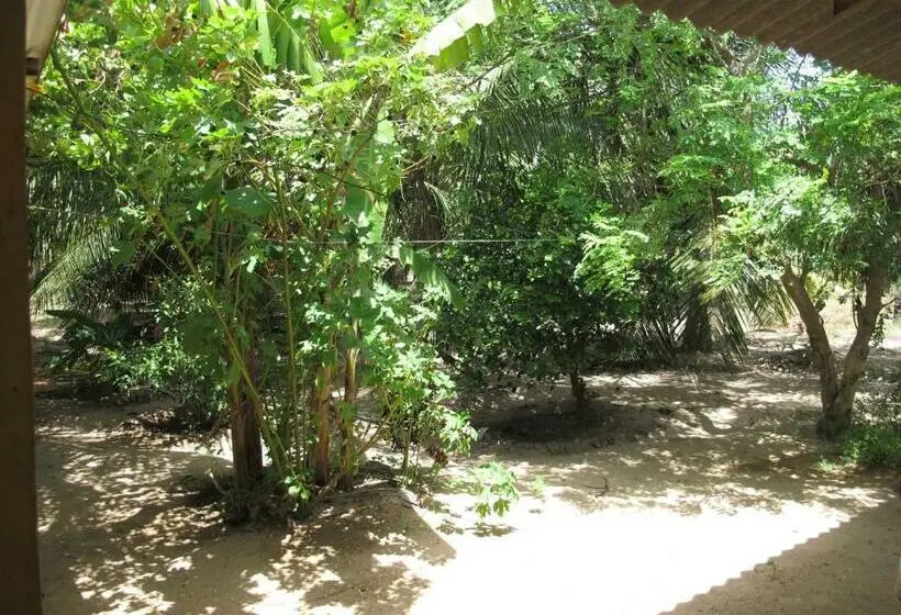 Economy-huone, Gopalapuram Guest House