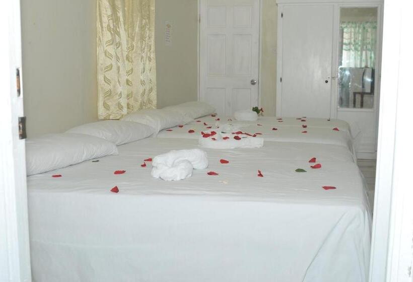 اتاق استاندارد چهار تخته, Hilltop View Guesthouse