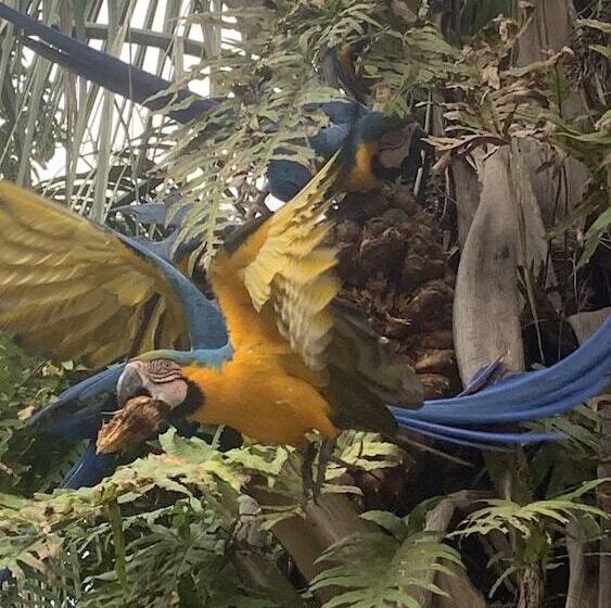 스위트, Pousada E Hostel Caminho De Santiago