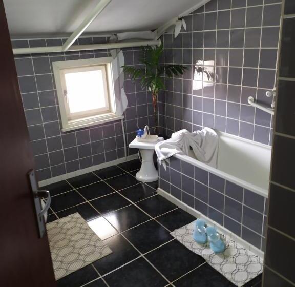 标准间带游泳池, Gologanova House