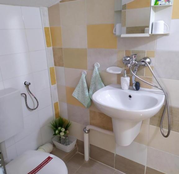 带泳池的标准三人间, Gologanova House