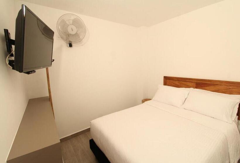 スタンダードルーム, Pajara Pinta