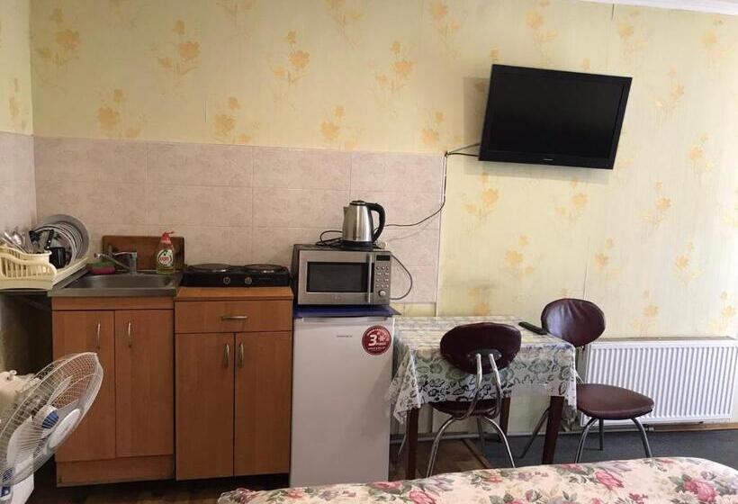 Standard Triple Room with Terrace, Shevchenka Guest House от 600гр 1 2 3к квартири 096 55 48 111 біля академії