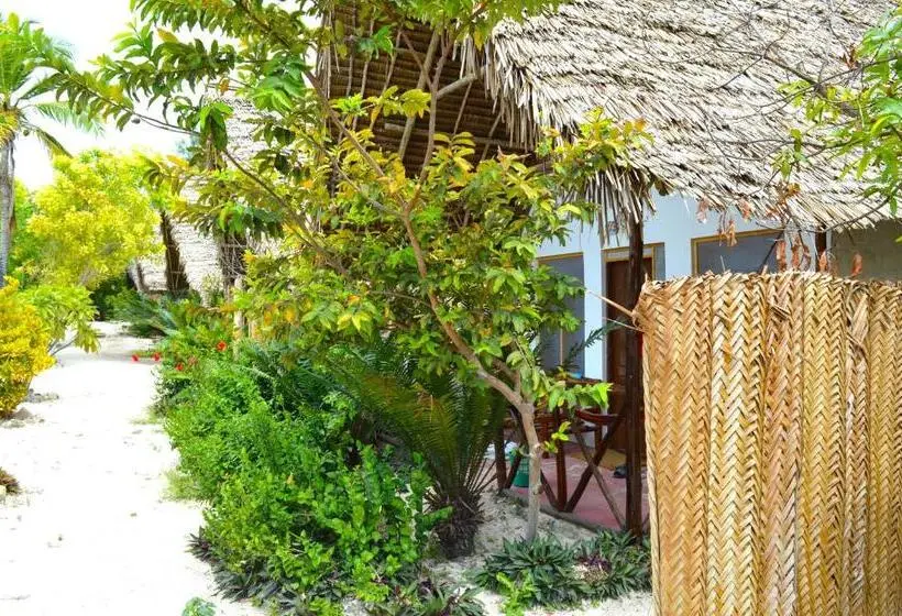 スタンダードシングルルーム, New Jambo Bungalows