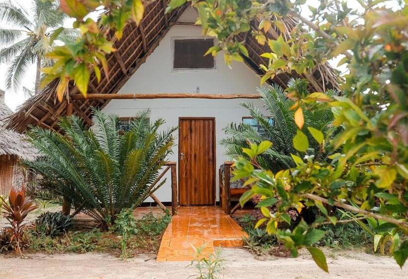 标准平房, New Jambo Bungalows