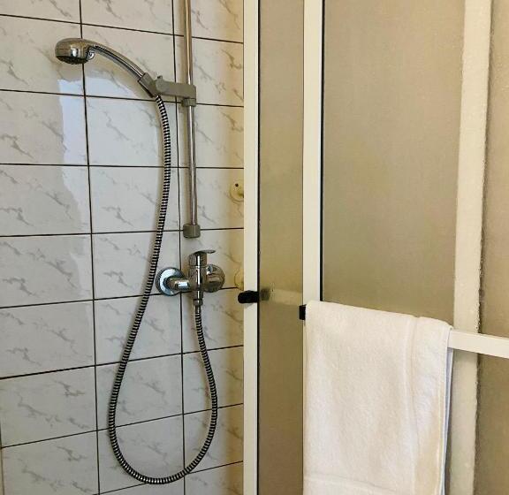 标准间, ďumbier