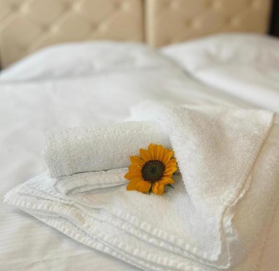 高级大房间, ďumbier