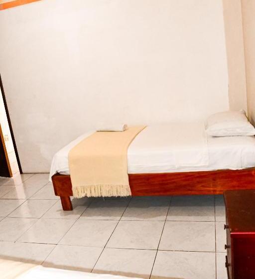 Номер Стандарт, Galapagos Dove