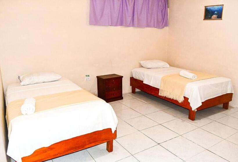 Номер Стандарт, Galapagos Dove