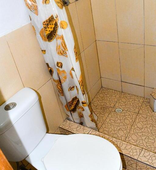 Номер Стандарт, Galapagos Dove