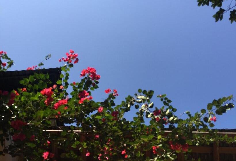 Номер Стандарт, Zen Box House