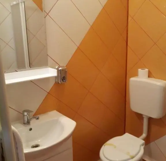 Standard-huone, Pensiunea Casa Rusu