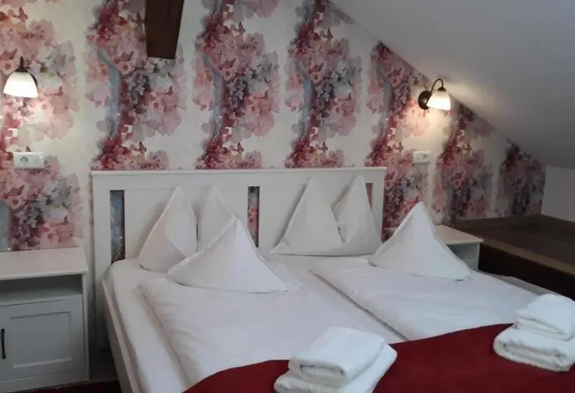 Standard-huone, Pensiunea Casa Rusu
