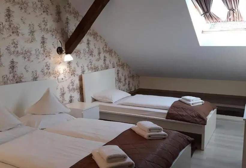 Classic Kolmen Hengen Huone, Pensiunea Casa Rusu