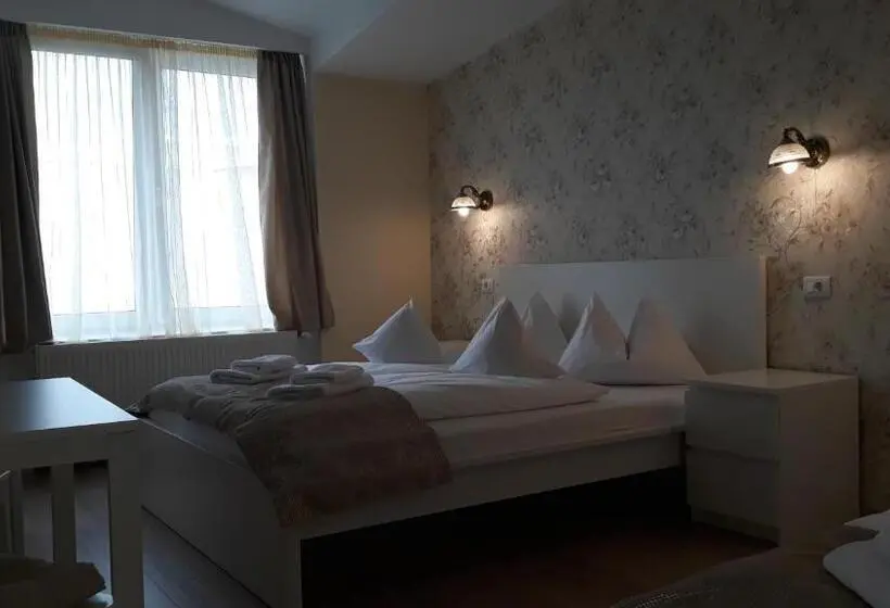 Standard Kolmen Hengen Huone, Pensiunea Casa Rusu