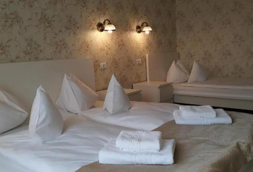 Standard Kolmen Hengen Huone, Pensiunea Casa Rusu