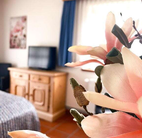 غرفة عائلية مطلّة علي الجبل, Pension Gasthof Arriach